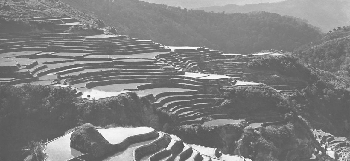 Culturas en equilibrio en la historia del mundo. Instituciones, gestión de recursos e intercambios sostenibles