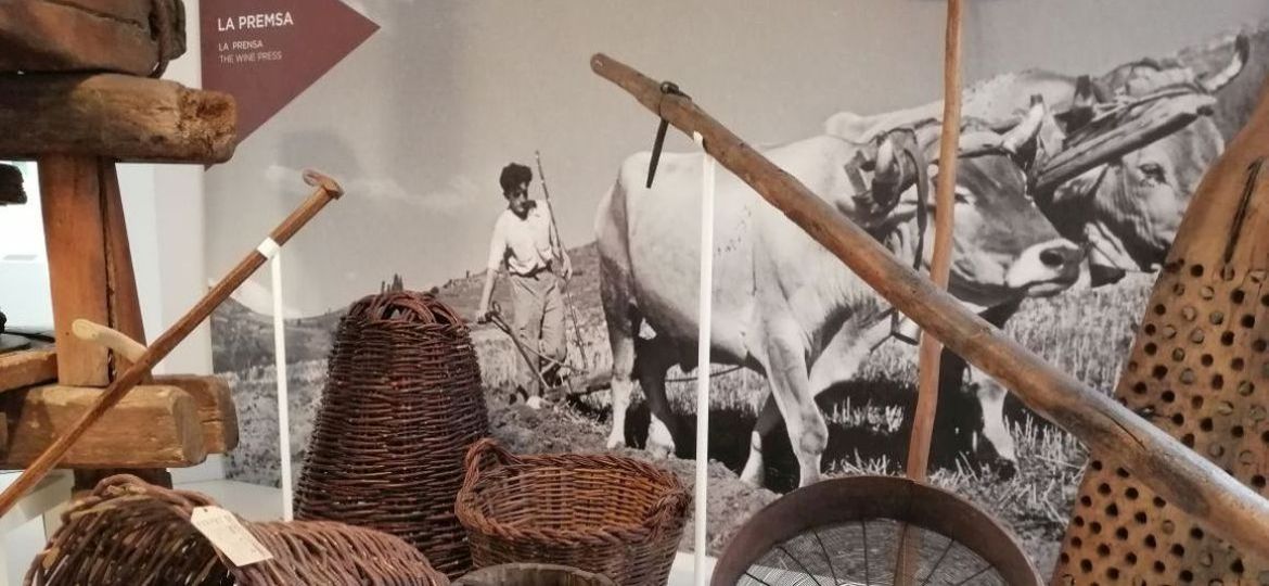 Xarxes, agulles i martells. Patrimoni i vida tradicional a Catalunya.