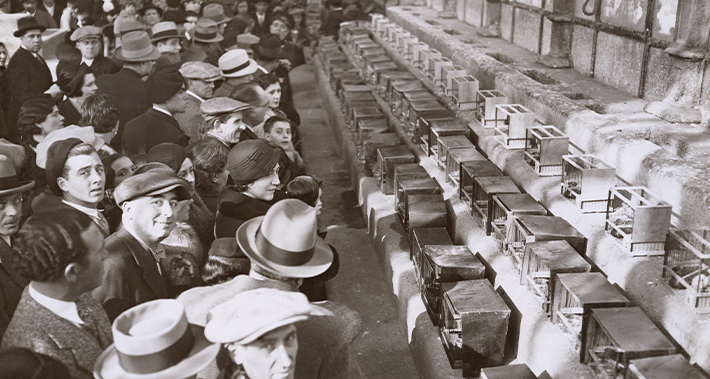 Los visitantes contemplan las jaulas con los pájaros participantes en el concurso de canaricultura celebrado en enero de 1934 en el Invernadero. 