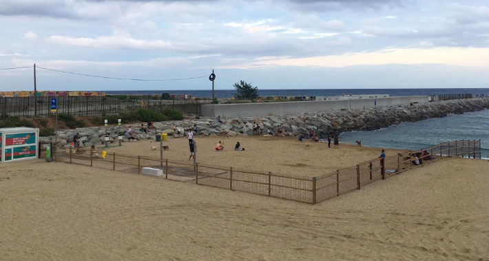 Llevant beach area for city residents with dogs.