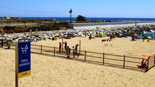 Zona de baño para perros en la playa de Levante