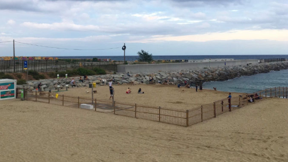 Llevant beach area for city residents with dogs.