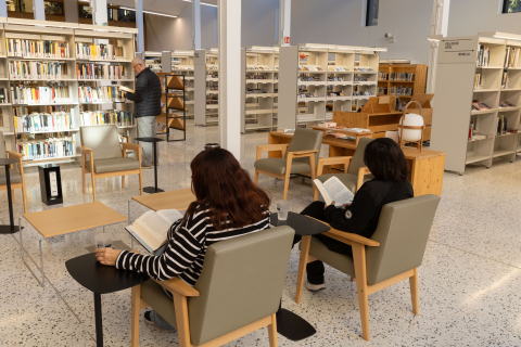 Biblioteca noies llegint en un silló