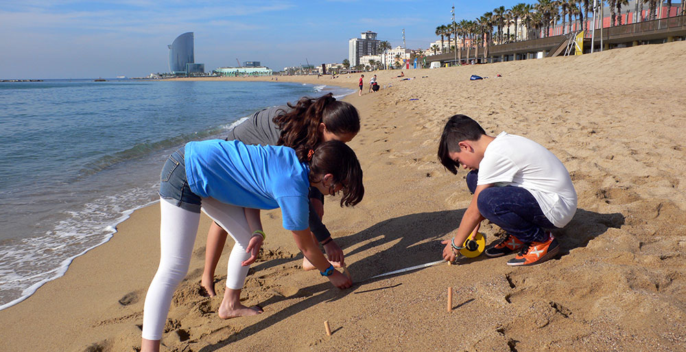 Citizen science in schools