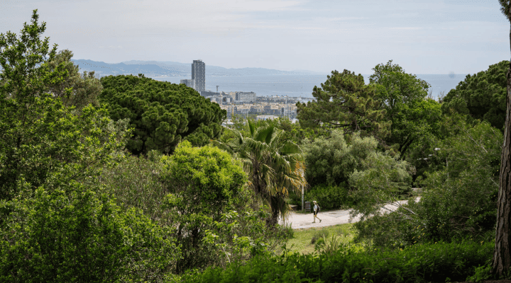 LOS ESPACIOS VERDES URBANOS DEL FUTURO