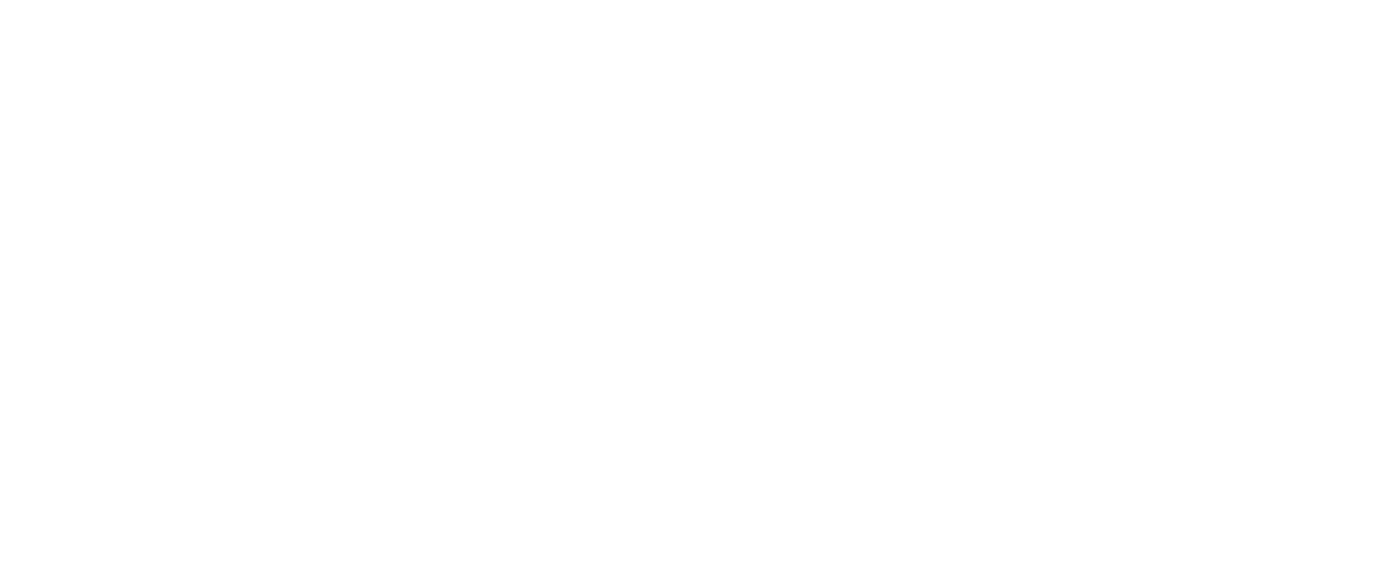 Logo BIC