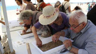 Workshop of Observadores del Mar