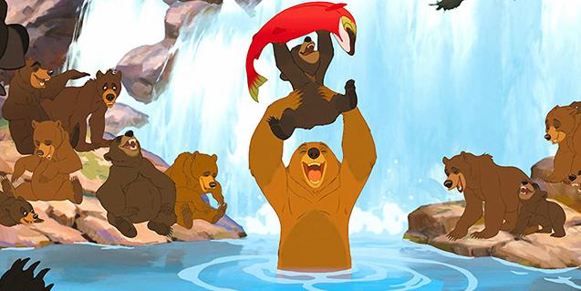 Pescar en el río es toda una fiesta para los osos.