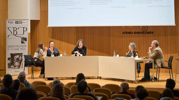 Slam de traducció poètica (anglès)