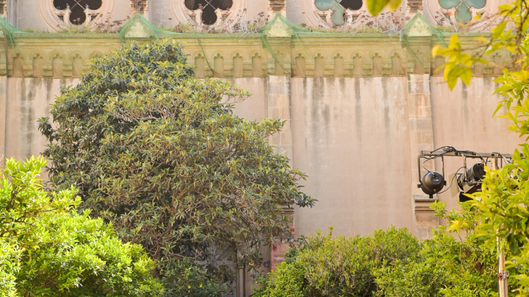 Veus de prop i de lluny