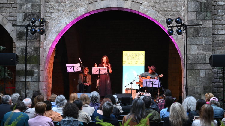 A confabulación crisálide