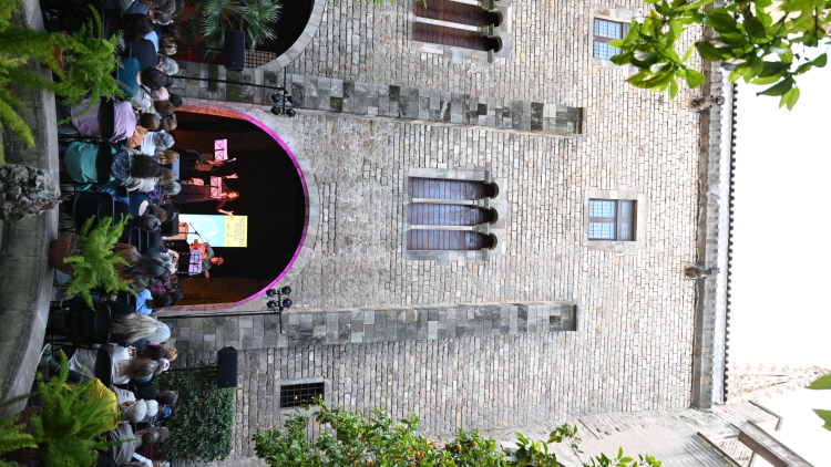 A confabulación crisálide