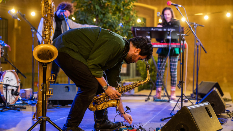 Seward i les ombres de la paraula