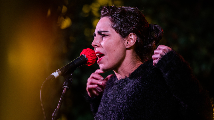 Seward i les ombres de la paraula