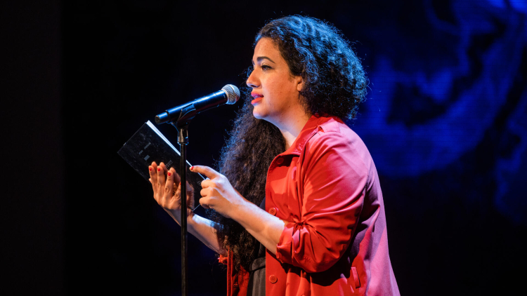 XXXVI Festival Internacional de Poesia