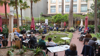 Grans Dames De La Poesia Catalana