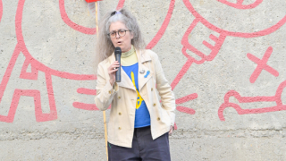 I ara, a fer camí. (Anti) Manifestació