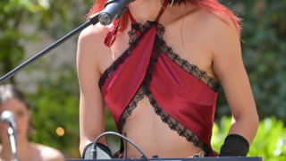 A mamar tots els versos! (Concert)