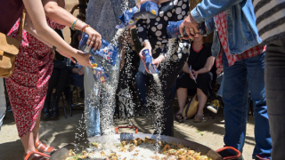 A mamar tots els versos! (Paella)