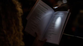 XXXVI Festival Internacional de Poesia