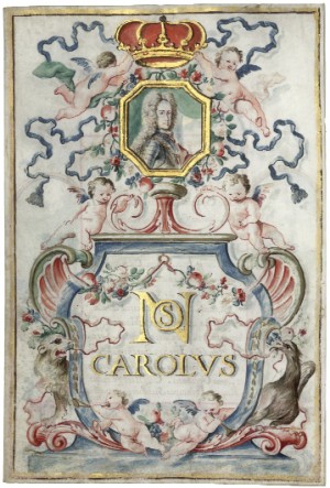 PassatCat18