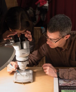 Photo: J.M. de Llobet / Natural Sciences Museum of Barcelona