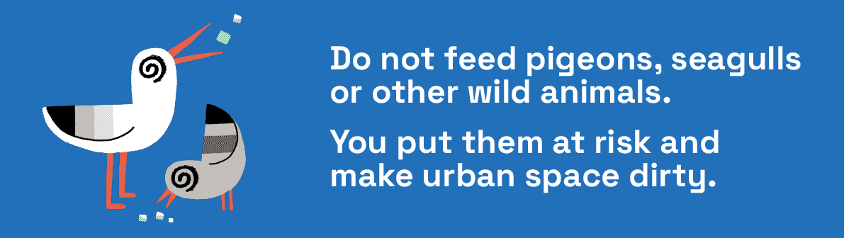 Do not feed pigeons, seagulls or other wild animals.