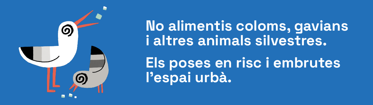 No alimentis coloms, gavians i altres animals silvestres.