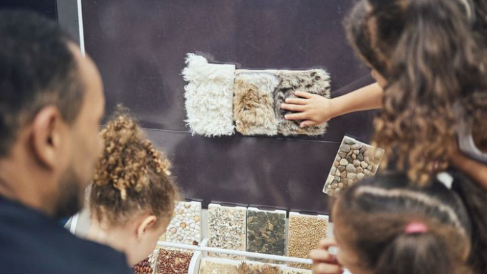 Unes nenes toquen peces amb diferents textures
