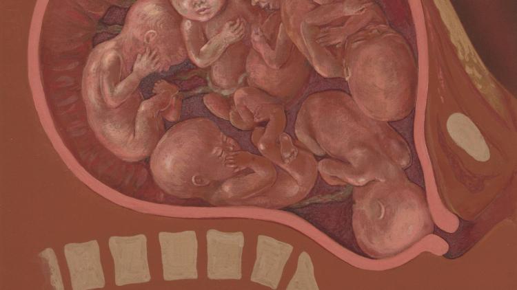 El terror de crear vida.