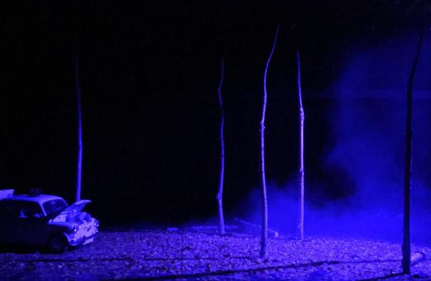 Ofèlia (Panic Attack)