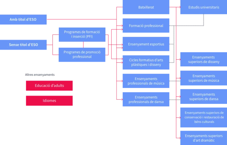 gràfica sistema educatiu