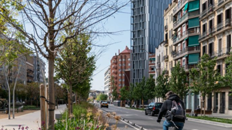 Un ciclista circula per un carril bici lateral de l’avinguda Meridiana (Autor: Mariona Gil)