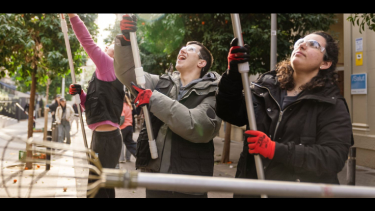 Voluntaris recullen les taronges amargues amb les forques i ulleres de protecció