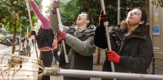 Voluntaris recullen les taronges amargues amb les forques i ulleres de protecció