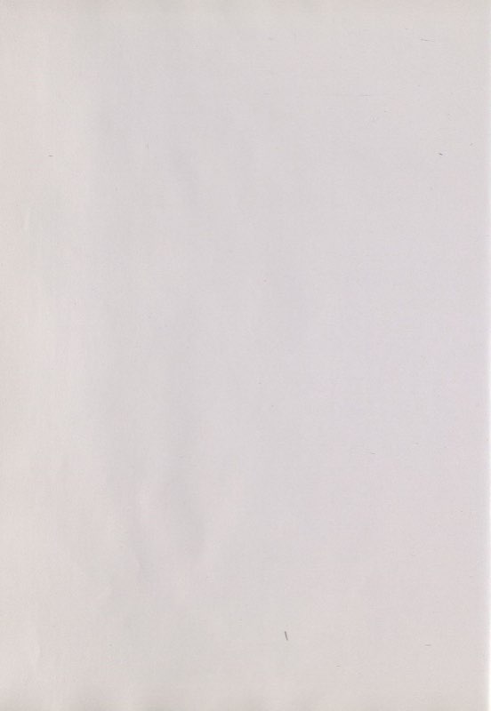 Purpleman of York - AMCB1001_B165_V9988_017