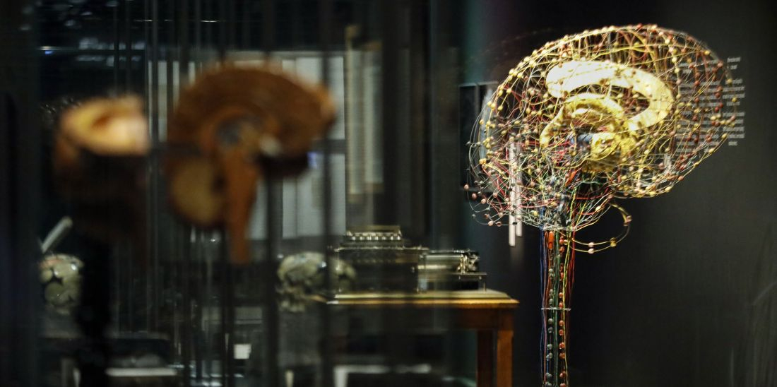 Imatge d'una maqueta d'un cervell fet amb filferros a l'exposició Cervell(s) al CCCB. © Martí E. Berenguer
