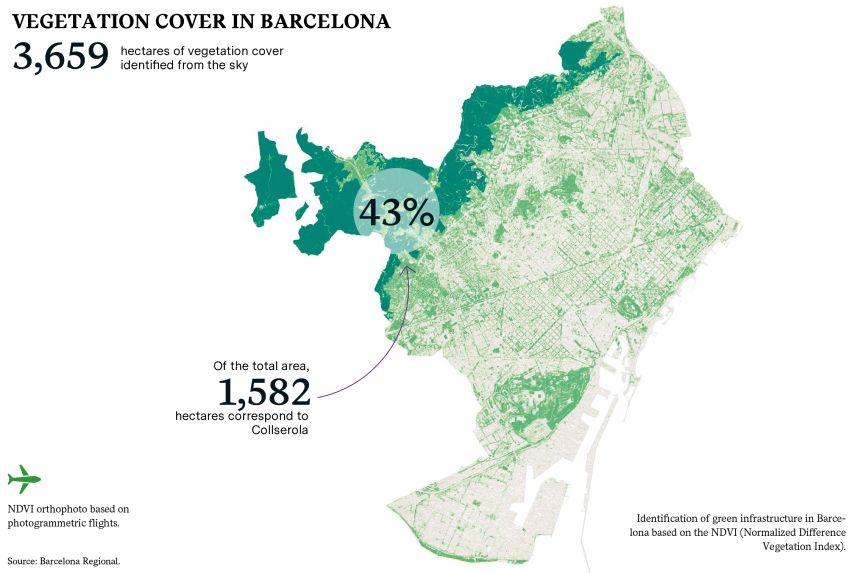 Vegetation cover in Barcelona