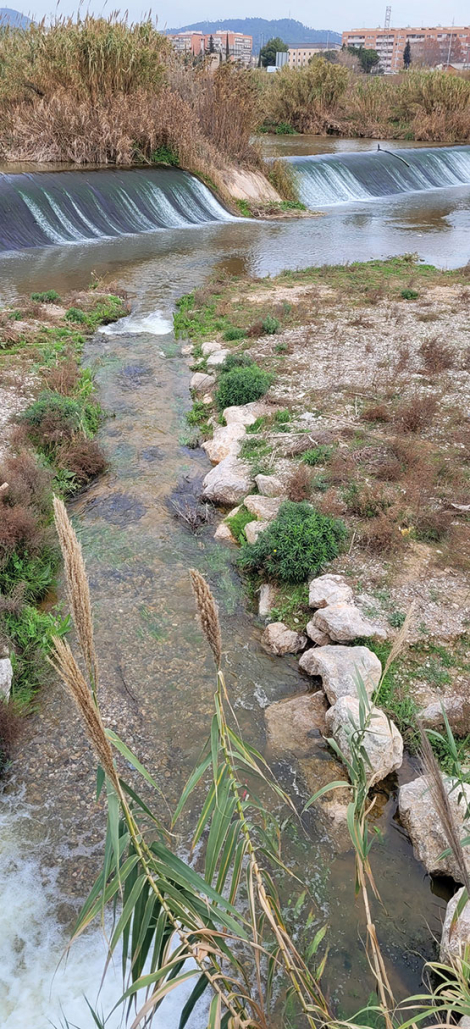 Aportació d'aigua regenerada al riu Llobregat. © Agència Catalana de l’Aigua