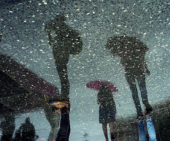 L'ombra de tres persones que duen paraigües reflectida sobre un terra de marbre. © Sergi Capellas