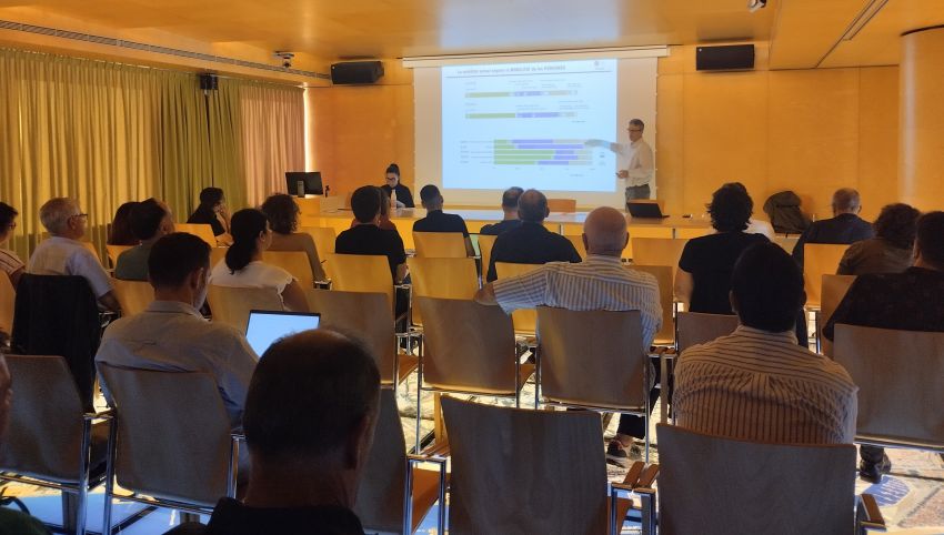 Grup de Treball Mobilitat Laboral