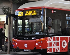 bus D20