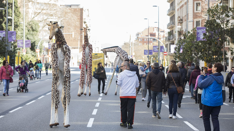Persones caminant per un carrer tallat amb artistes disfressats de girafes sobre xanques