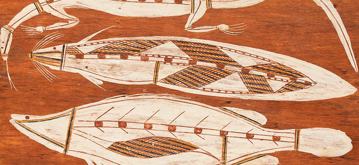 pintura sobre escorça  Barramundi, peix gat i llargandaix  ca. 1960. Austràlia