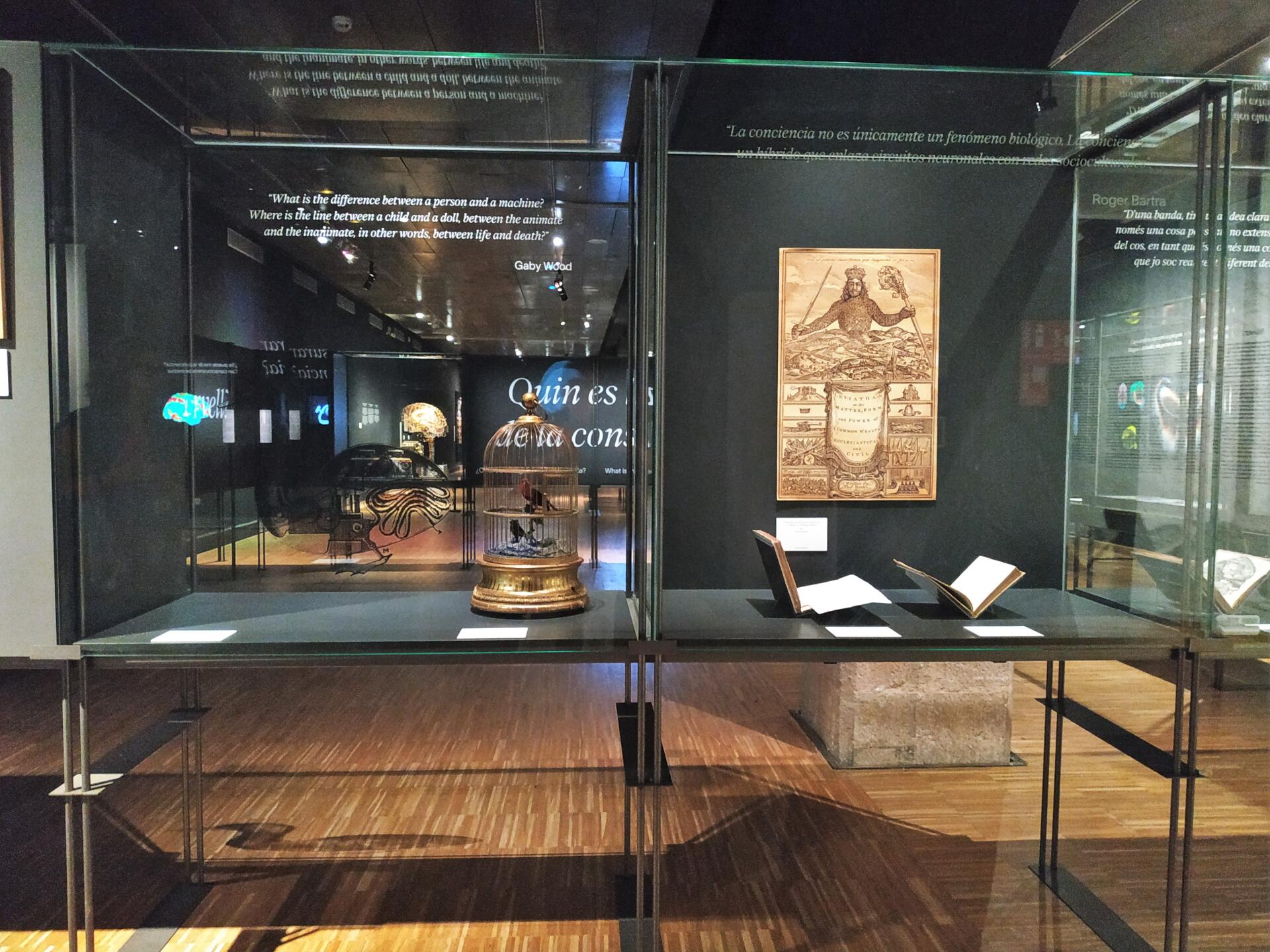 Préstec a l'exposició: 'Cervell(s)'