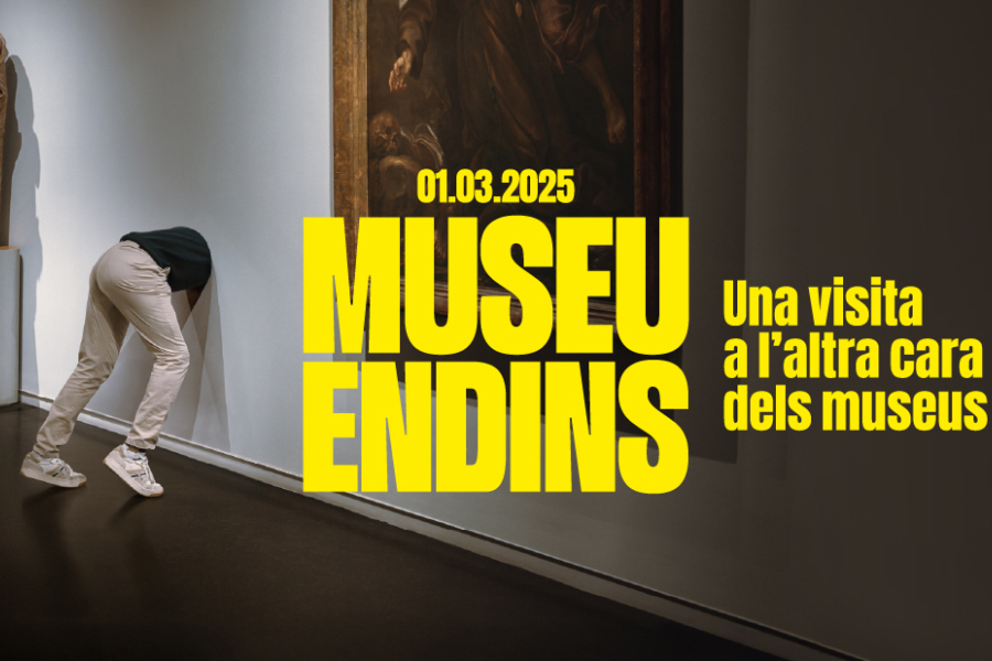 Museu Endins