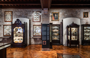 Nous recursos textuals i gràfics al Gabinet del col·leccionista