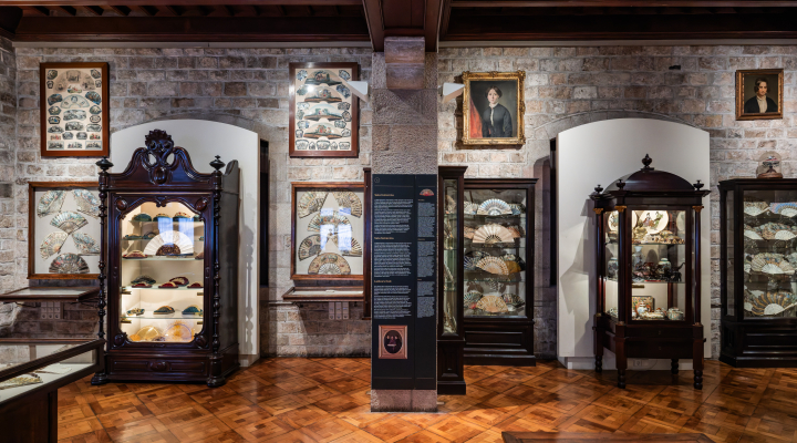 Nous recursos textuals i gràfics al Gabinet del col·leccionista