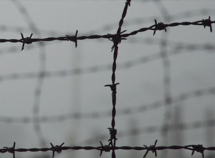 Escriptures de l'exili republicà de 1939 i els camps de concentració. 80 anys després