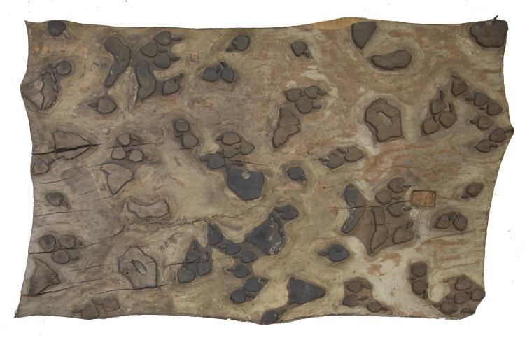 Imatge molde de bac de l'autora